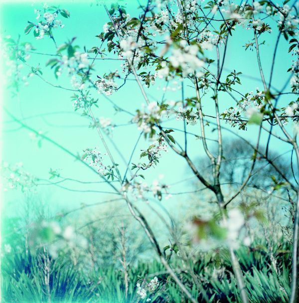 Close up shot of spider cobwebs covered with water droplets, spun over rocks and leaves, on cover of 'Passing Through', by Lost Press.