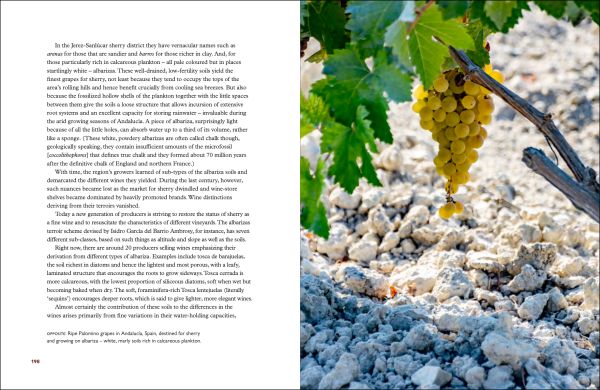 Book cover of Taste the Limestone, Smell the Slate: A geologist wanders through the world of wine. Published by Academie du Vin Library.