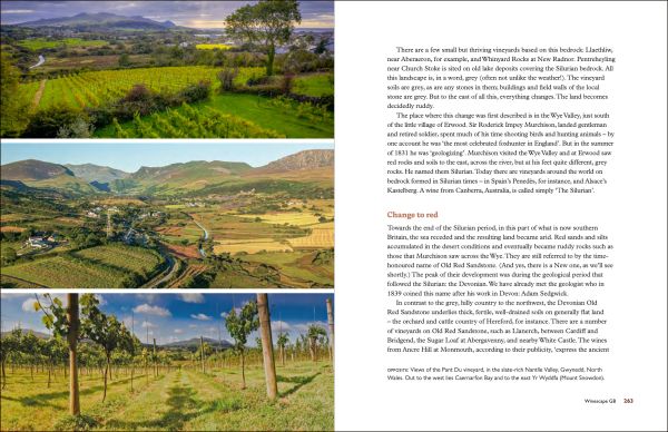 Book cover of Taste the Limestone, Smell the Slate: A geologist wanders through the world of wine. Published by Academie du Vin Library.