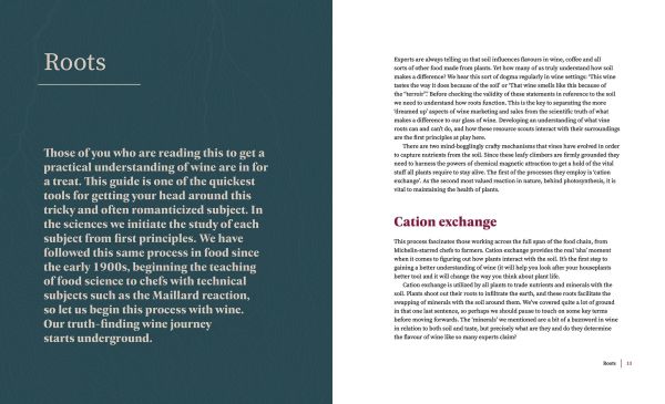 Book cover of The Cynic's Guide to Wine: Demystifying wine from vineyard to glass, featuring the outline of a wine glass with tree roots on the bottom. Published by Academie du Vin Library.