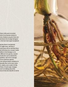 Book cover of The Cynic's Guide to Wine: Demystifying wine from vineyard to glass, featuring the outline of a wine glass with tree roots on the bottom. Published by Academie du Vin Library.