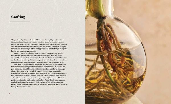 Book cover of The Cynic's Guide to Wine: Demystifying wine from vineyard to glass, featuring the outline of a wine glass with tree roots on the bottom. Published by Academie du Vin Library.