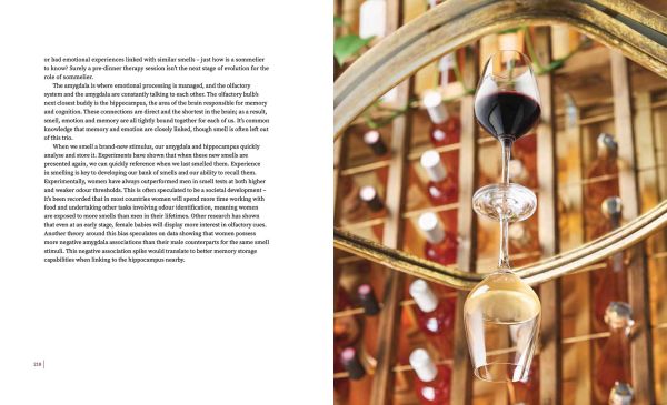 Book cover of The Cynic's Guide to Wine: Demystifying wine from vineyard to glass, featuring the outline of a wine glass with tree roots on the bottom. Published by Academie du Vin Library.