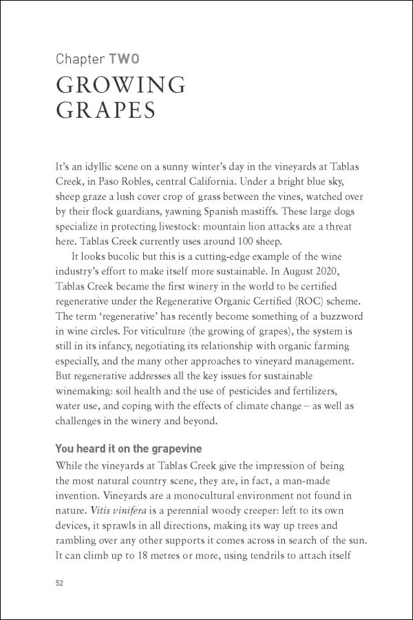 Book cover of Rooted in Change: The Stories Behind Sustainable Wine; with a wine glass sprouting roots. Published by Academie Du Vin.