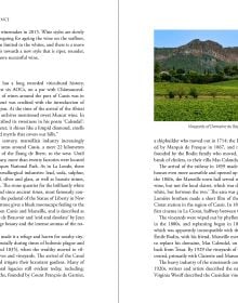 The Wines of Provence