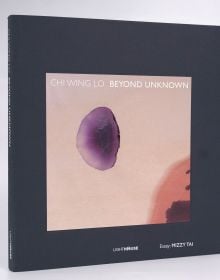 Beyond Unknown