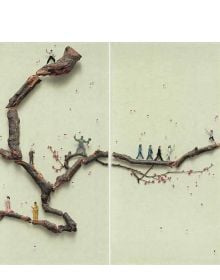 Transfiguration