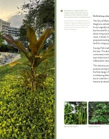 Book cover of Resilient Horizons: The Future of Landscape Architecture; featuring a garden with exotics trees and plants. Published by Images Publishing.