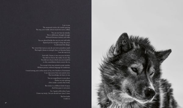 Echoes of the Pack