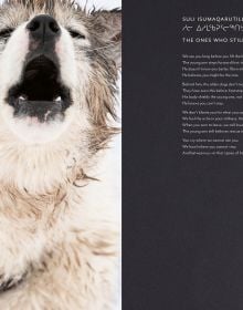 Echoes of the Pack