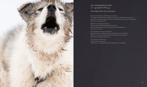 Echoes of the Pack