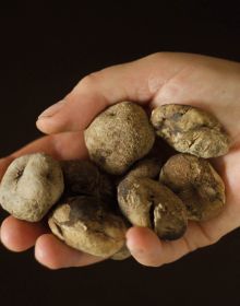 Rurality Re-imagined