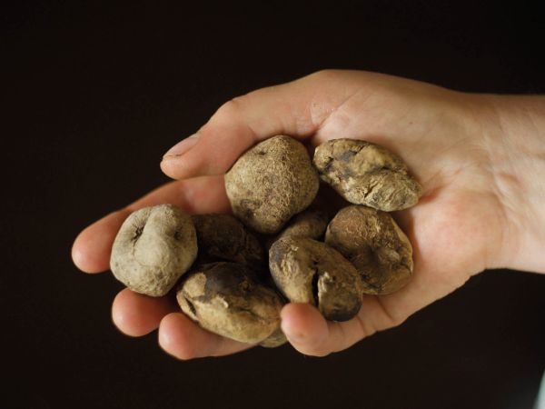 Rurality Re-imagined