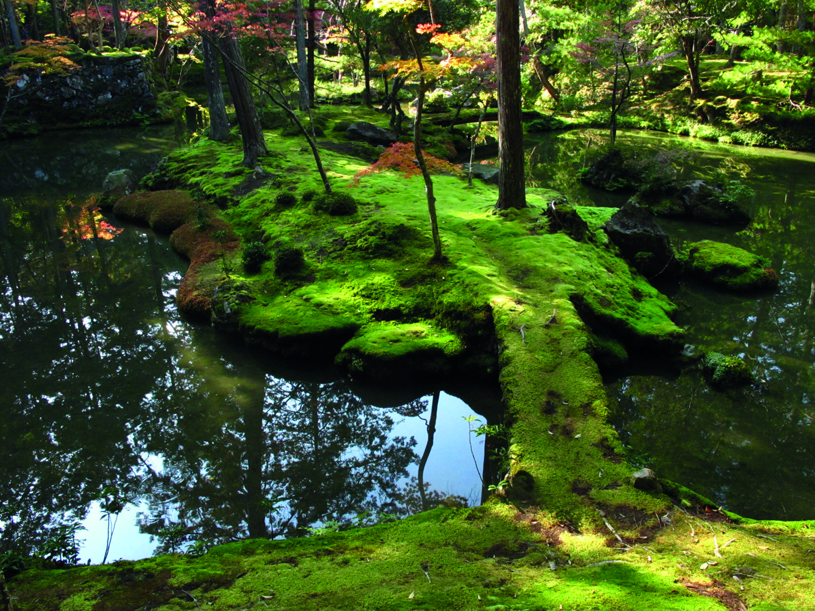 Karesansui garden, raked sand garden, green topiary shrubs, A Guide to the Gardens of Kyoto in white font on dark green square to centre