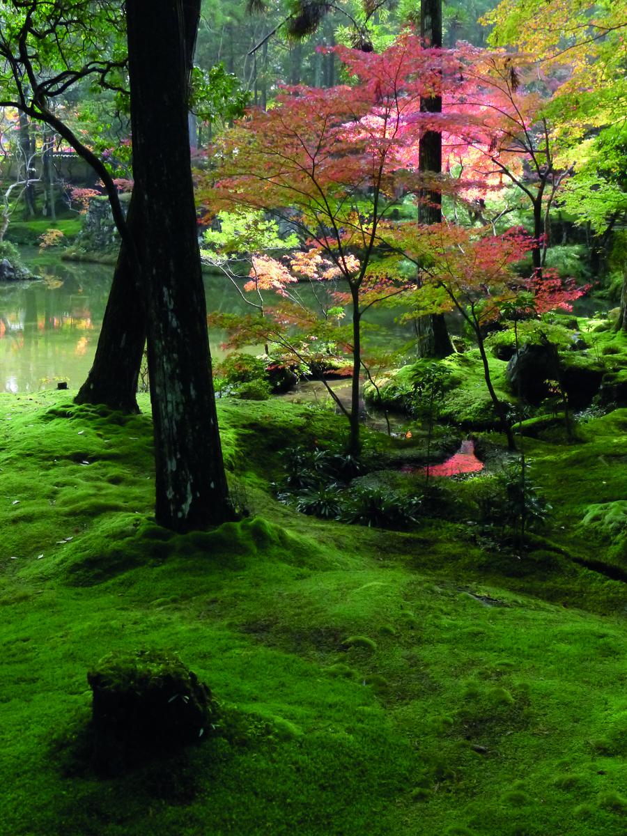 Karesansui garden, raked sand garden, green topiary shrubs, A Guide to the Gardens of Kyoto in white font on dark green square to centre