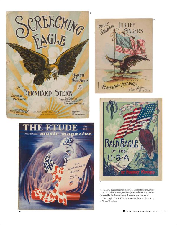 Close up of American bald eagle, orange beak, AMERICAN EAGLE in silver font below