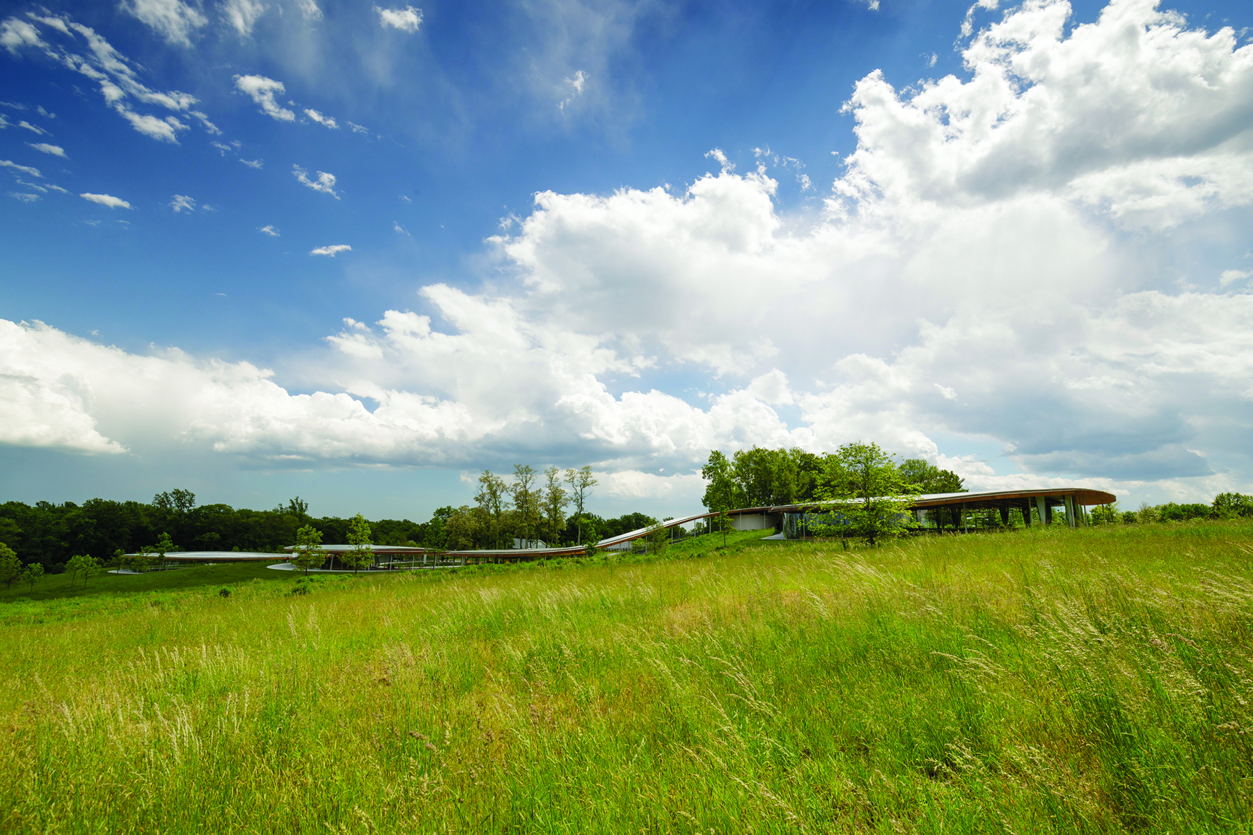 Modern winding architecture building, Grace Farms in New Canaan, Connecticut, RYUE NISHIZAWA / SANAA GRACE FARMS in pink font to upper left.