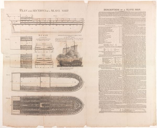 Colourful geological diagram of landscape, blue sky with birds in distance, VISUAL DISCOVERIES A COLLECTION OF SECTIONS in white and black font to centre.