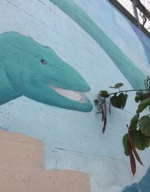 White translucent cover with 10 digital icons dotted around Best Practices in black font on yellow banner