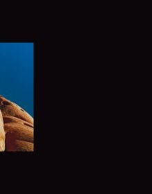 2 nude figure in red body paint and blue hair, 1 standing holding mannequin's legs, 1 sitting on edge of circular pool, blue cover, BODY MIRROR in white font above.