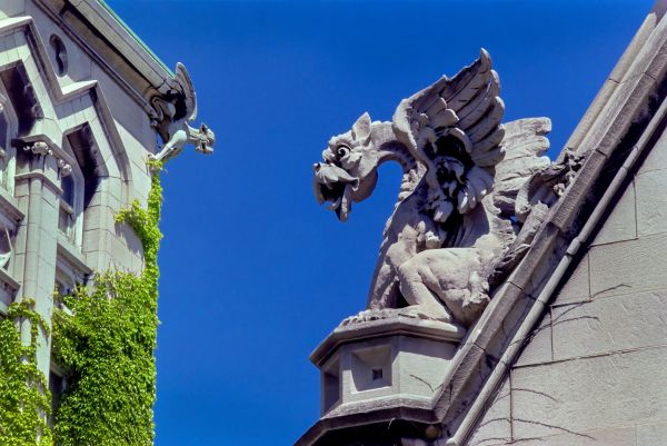 Stone dragon gargoyle on side of building, blue sky behind, ARCHES TO ZIGZAGS An Architectural ABC in white font above and below.