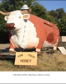 Landscape photograph of American barn with American flag draped across the front, Americana in white font, Mathew Teklusky in blue font on bottom white banner.