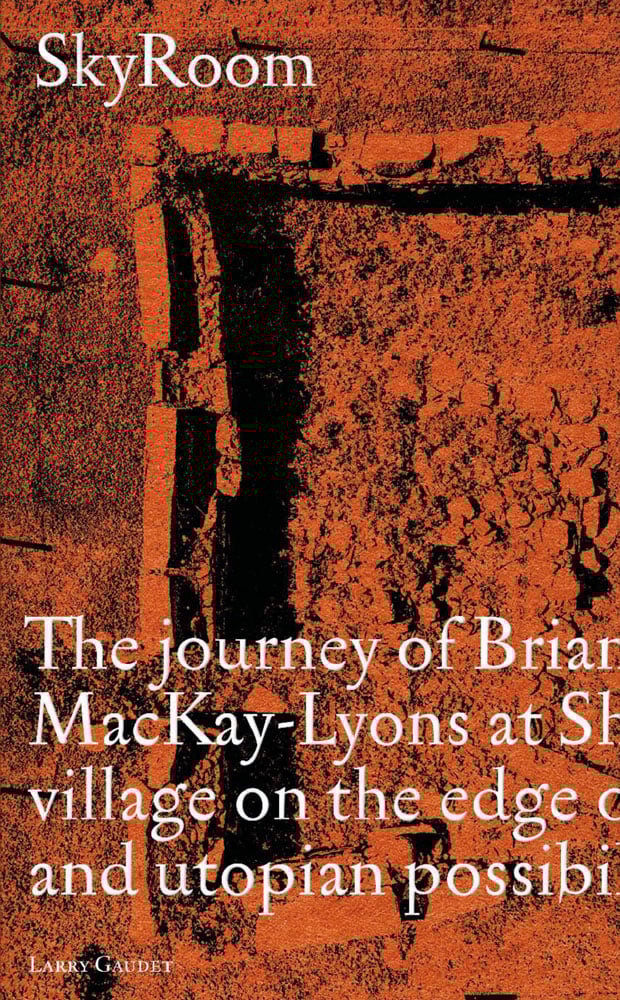 Book cover of SkyRoom. Published by ORO Editions.