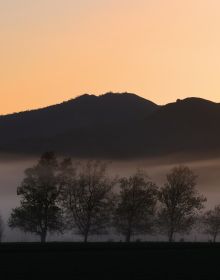 Vast landscape with vineyard, mountains behind, RANCHO SISQUOC ENDURING LEGACY OF AN HISTORIC LAND GRANT RANCH in gold font above.