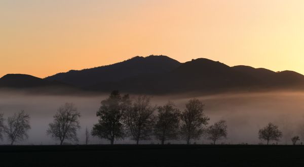 Book cover of Rancho Sisquoc: Enduring Legacy of an Historic Land Grant Ranch, with a vast landscape with vineyard, with mountains behind. Published by ORO Editions.