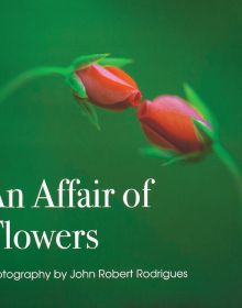 Macro photo of two red flower buds opening, to green cover of An Affair of Flowers, by ORO Editions.