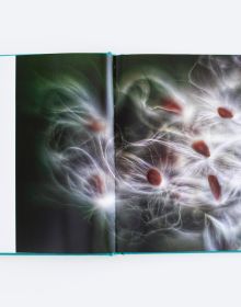 Book cover of An Affair of Flowers, featuring a macro photo of two red flower buds opening. Published by ORO Editions.