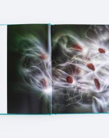 Macro photo of two red flower buds opening, to green cover of An Affair of Flowers, by ORO Editions.