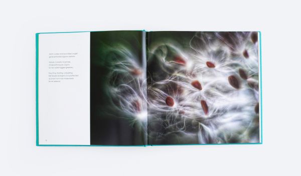 Book cover of An Affair of Flowers, featuring a macro photo of two red flower buds opening. Published by ORO Editions.