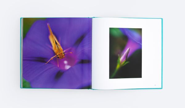 Book cover of An Affair of Flowers, featuring a macro photo of two red flower buds opening. Published by ORO Editions.
