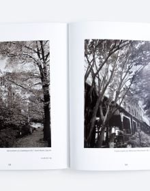 Book cover of Of Limbs, Leaves, and Hope: A Portrait of Philadelphia’s Urban Forest in Times of a Pandemic, with a low angled shot of forest trees. Published by ORO Editions.