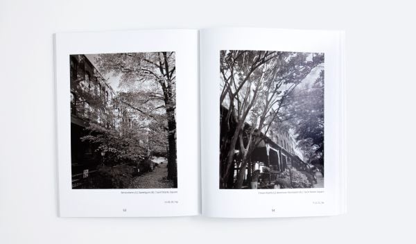 Book cover of Of Limbs, Leaves, and Hope: A Portrait of Philadelphia’s Urban Forest in Times of a Pandemic, with a low angled shot of forest trees. Published by ORO Editions.