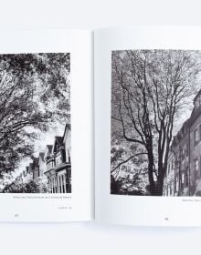 Book cover of Of Limbs, Leaves, and Hope: A Portrait of Philadelphia’s Urban Forest in Times of a Pandemic, with a low angled shot of forest trees. Published by ORO Editions.