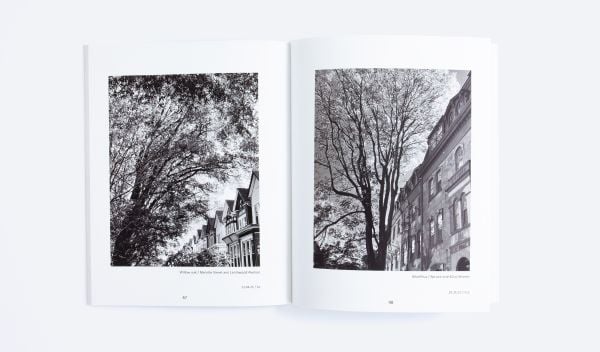 Book cover of Of Limbs, Leaves, and Hope: A Portrait of Philadelphia’s Urban Forest in Times of a Pandemic, with a low angled shot of forest trees. Published by ORO Editions.