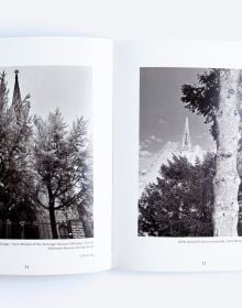 Book cover of Of Limbs, Leaves, and Hope: A Portrait of Philadelphia’s Urban Forest in Times of a Pandemic, with a low angled shot of forest trees. Published by ORO Editions.