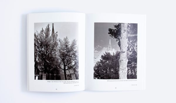 Book cover of Of Limbs, Leaves, and Hope: A Portrait of Philadelphia’s Urban Forest in Times of a Pandemic, with a low angled shot of forest trees. Published by ORO Editions.