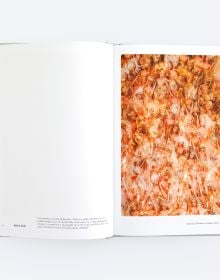 Book cover of In Search for Meaning, Felisa Tan. Published by ORO Editions.