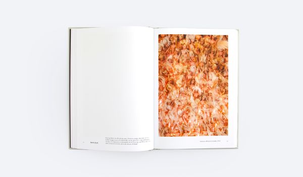 Book cover of In Search for Meaning, Felisa Tan. Published by ORO Editions.