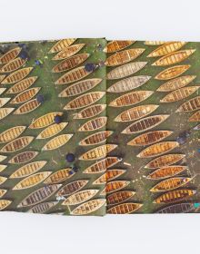 Book cover of The Great Padma, with a aerial view of the river. Published by ORO Editions.
