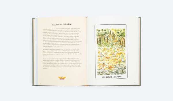 Book cover of Wisdom of Place, A guide to Recovering the Sacred Origins of Landscape. Published by ORO Editions.