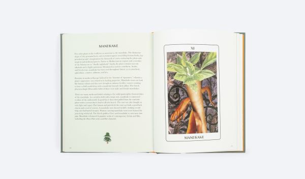 Book cover of Wisdom of Place, A guide to Recovering the Sacred Origins of Landscape. Published by ORO Editions.