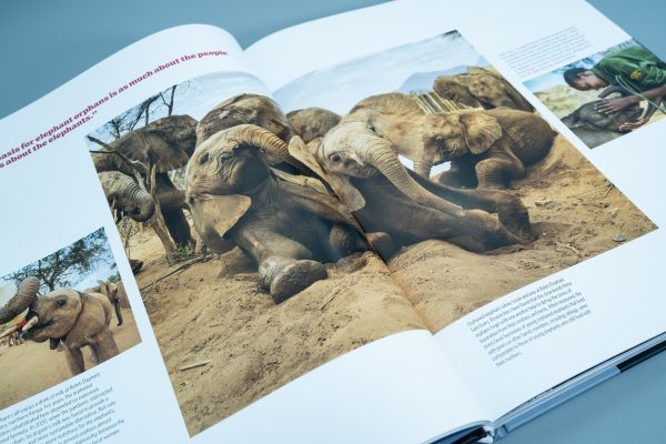 Book cover of Seeing It All, Women Photographers Expose our Planet, with a large iceberg floating on sea, under orange sky. Published by ORO Editions.