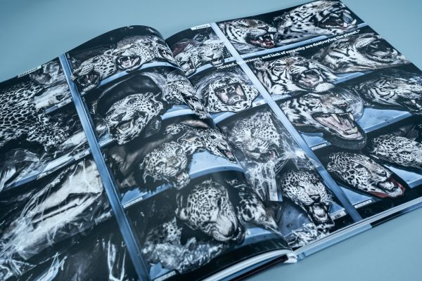 Book cover of Seeing It All, Women Photographers Expose our Planet, with a large iceberg floating on sea, under orange sky. Published by ORO Editions.