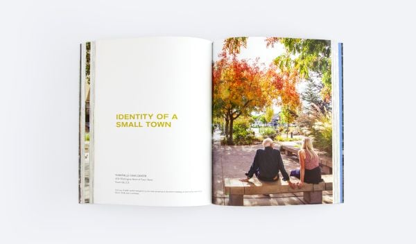 Book cover of Changing the Commons, with a forest with stepped decking walkway. Published by ORO Editions.