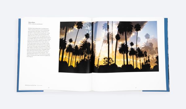 Book cover of Layered Landscape, with white fluffy clouds snaking around dark conifer trees, with below blue sky. Published by ORO Editions.