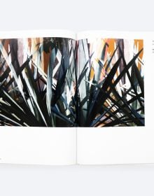 Book cover of Layered Landscape, with white fluffy clouds snaking around dark conifer trees, with below blue sky. Published by ORO Editions.